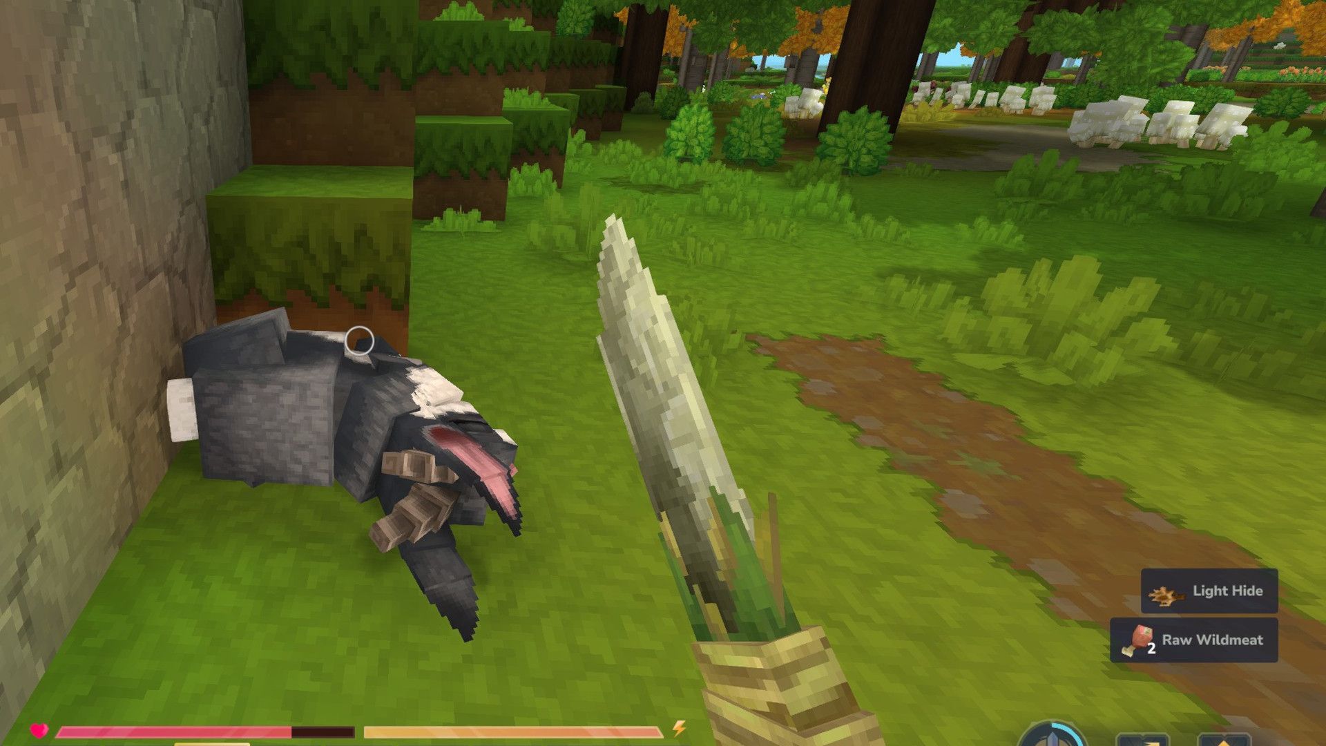 图片[2]-Hytale攻略：如何获得轻皮